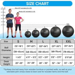 APEXUP Yoga Ball 660lbs image