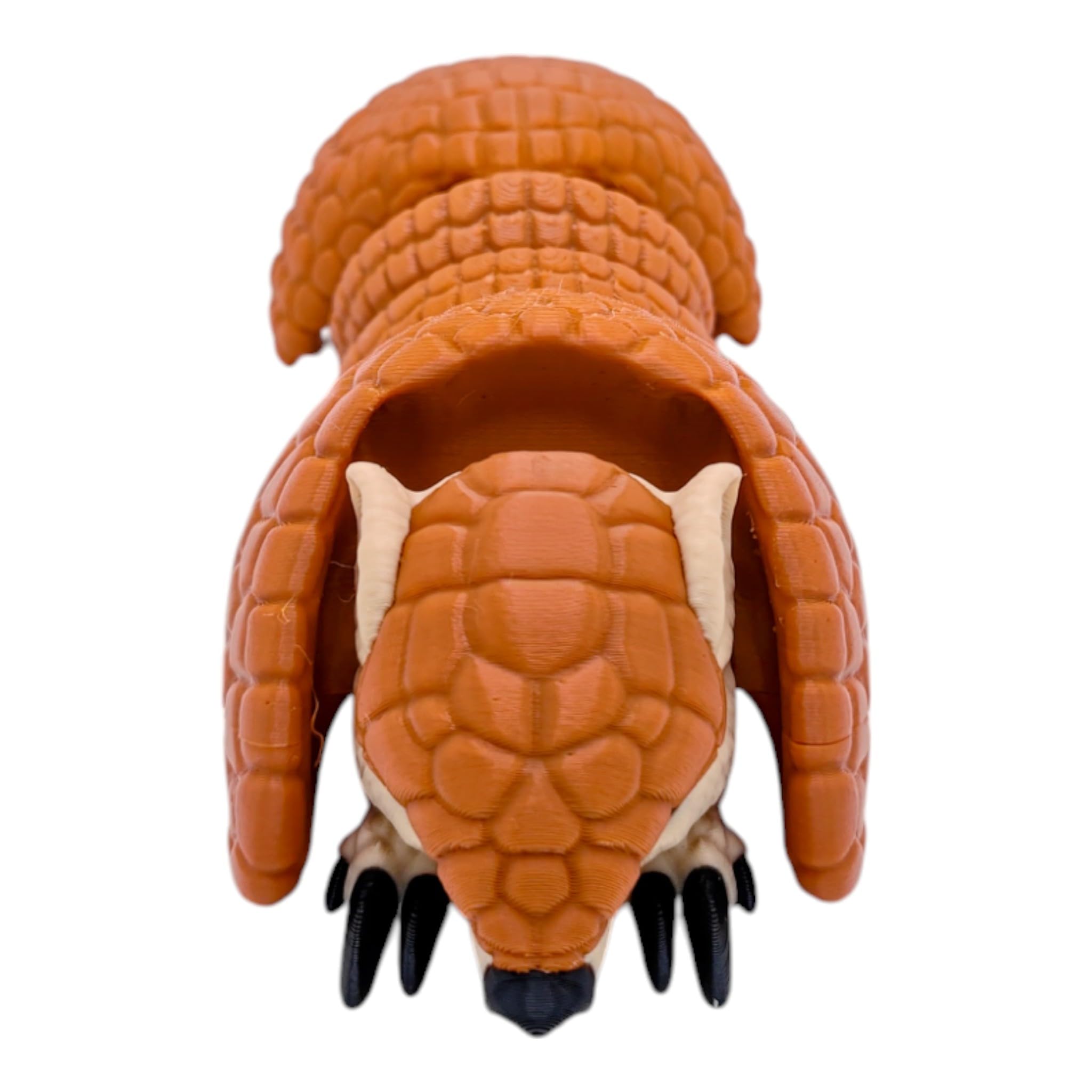 armadillo gift item for office or home display