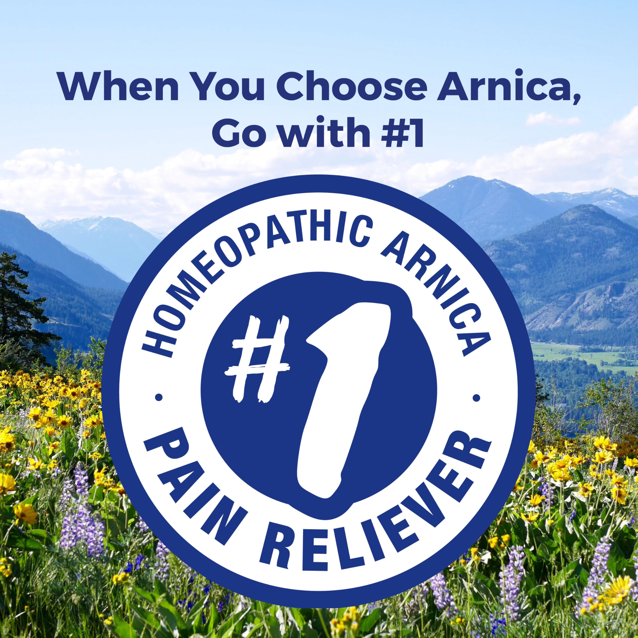 Pellets dissolve under the tongue Arnica 30X pellets