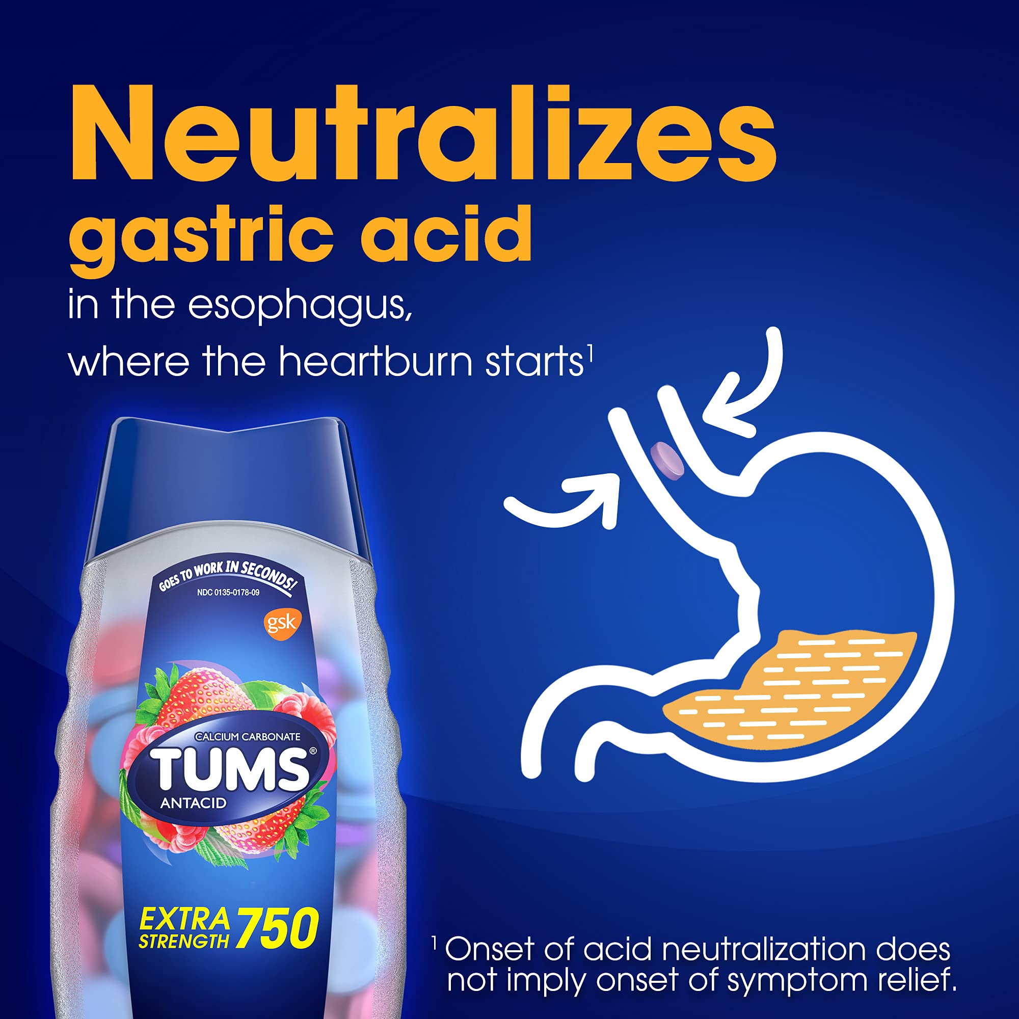 Pack of 12 TUMS EX Assorted Berries container