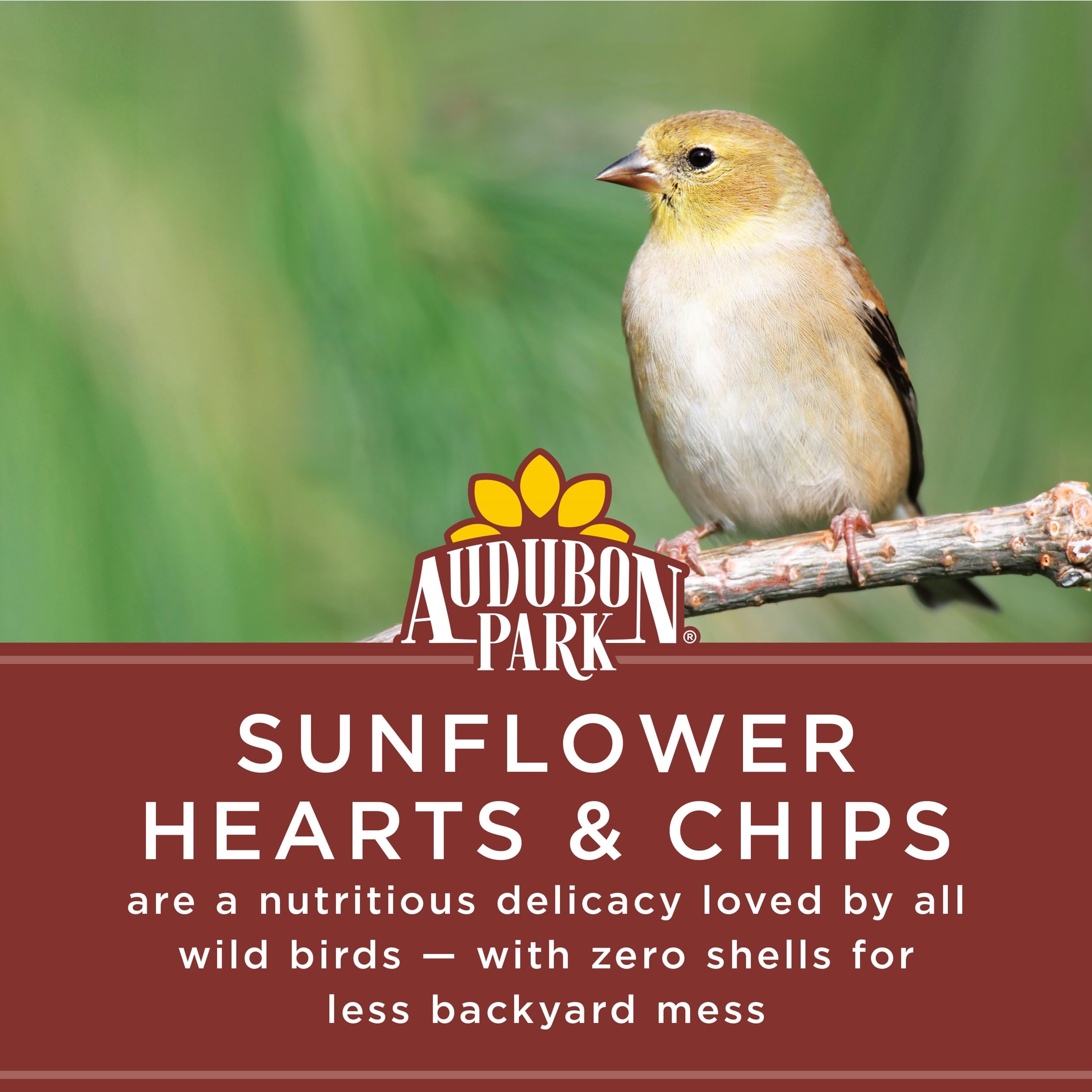 Audubon Park Sunflower Hearts & Chips used in hopper feeders