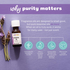 Clove bud essential oil Aura Cacia 0.5 ounce bottle closeup