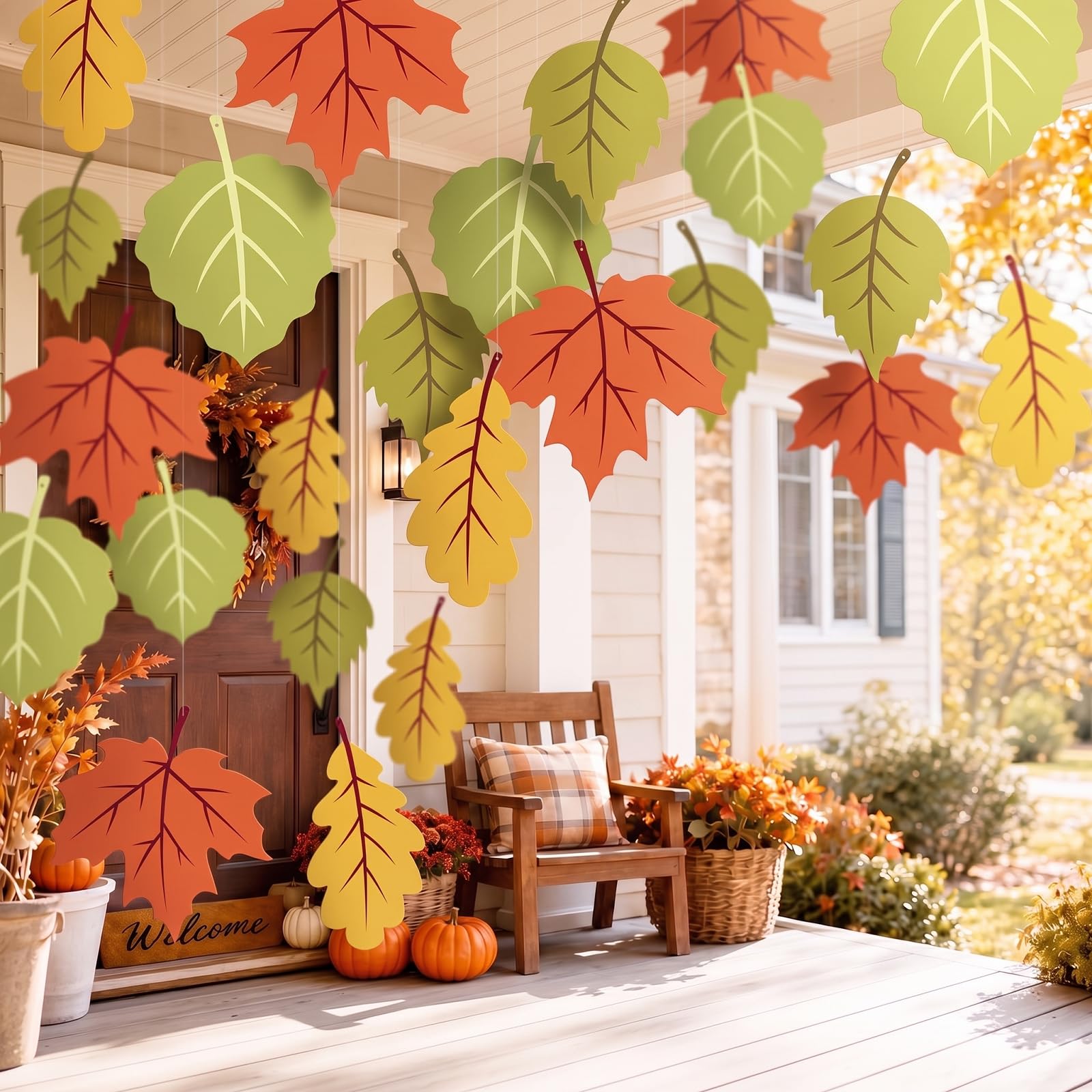 Autumn harvest color maple leaves for classroom and office