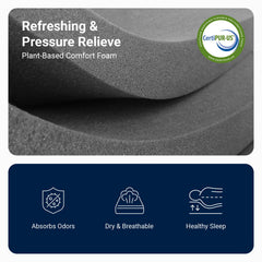 Plant-based foam layer for odor and moisture control in twin mattress