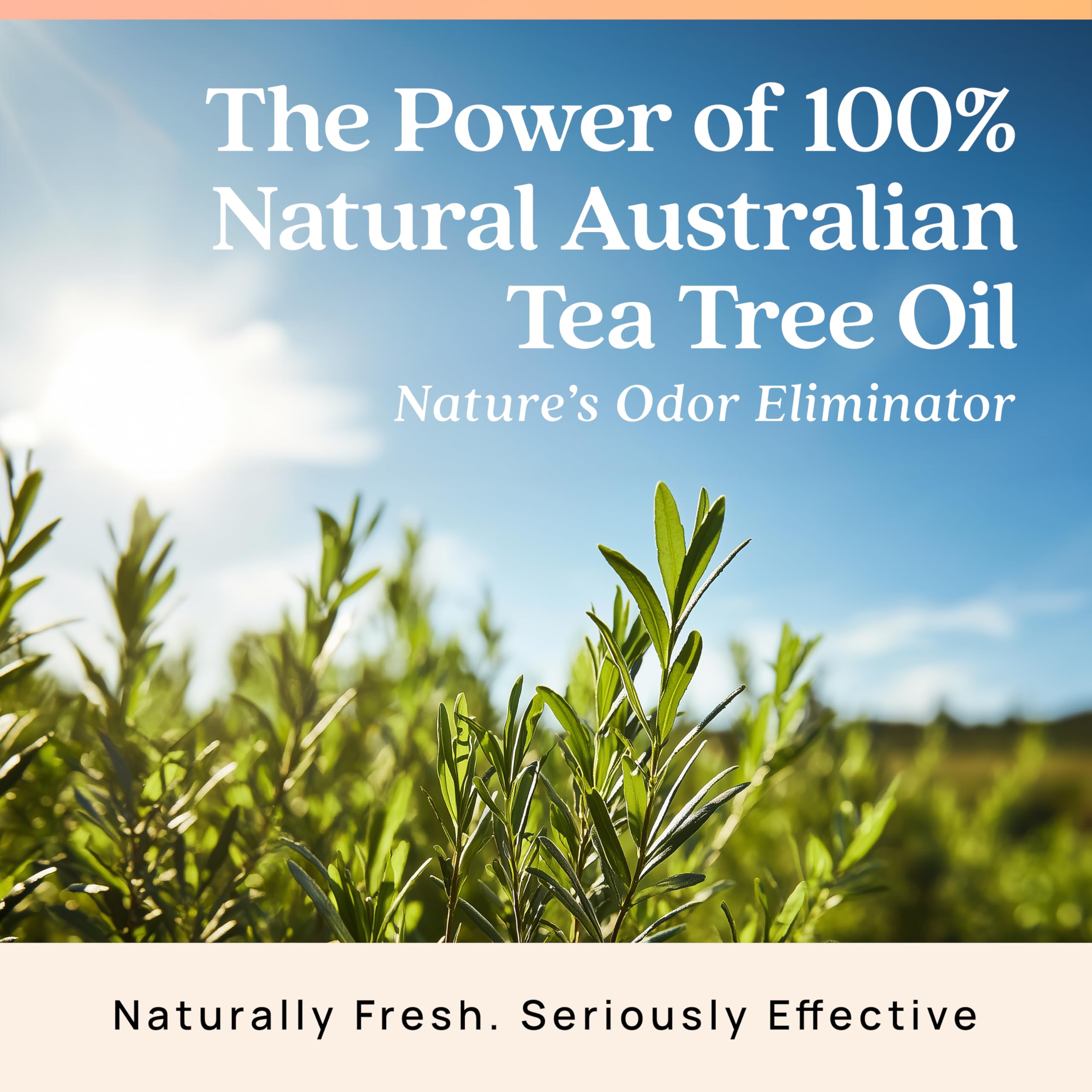 USA manufactured Azuna odor eliminator plant powered