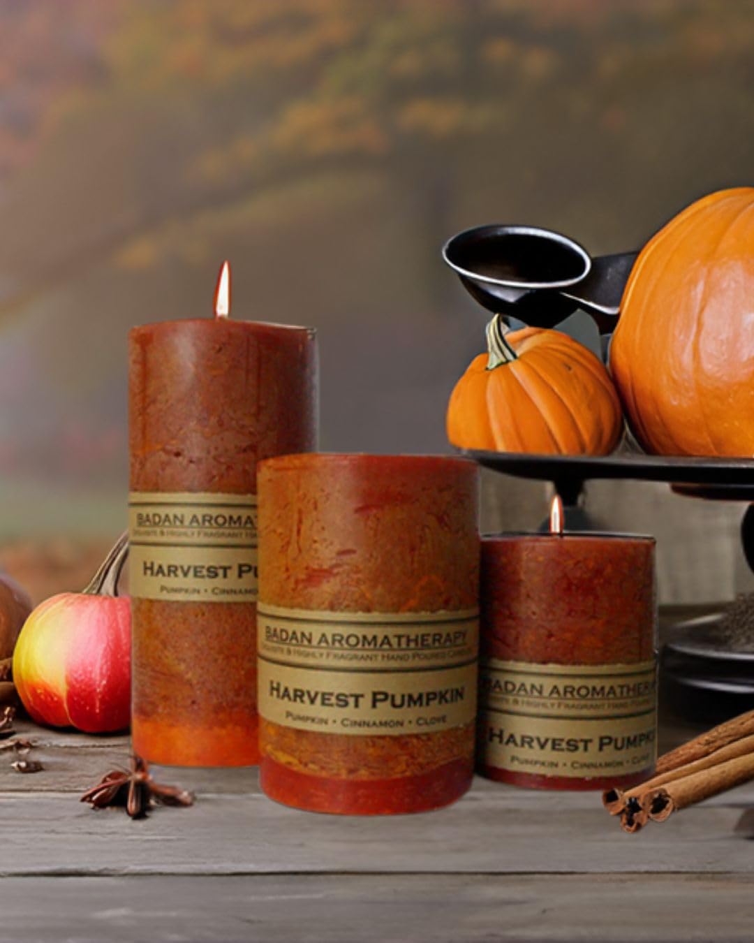 Giftable autumn candle set Badan pumpkin spice pillar candle