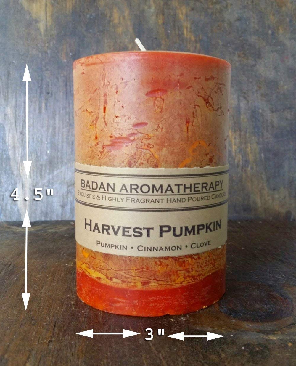 Badan harvest pumpkin spice 3pc set on autumn display