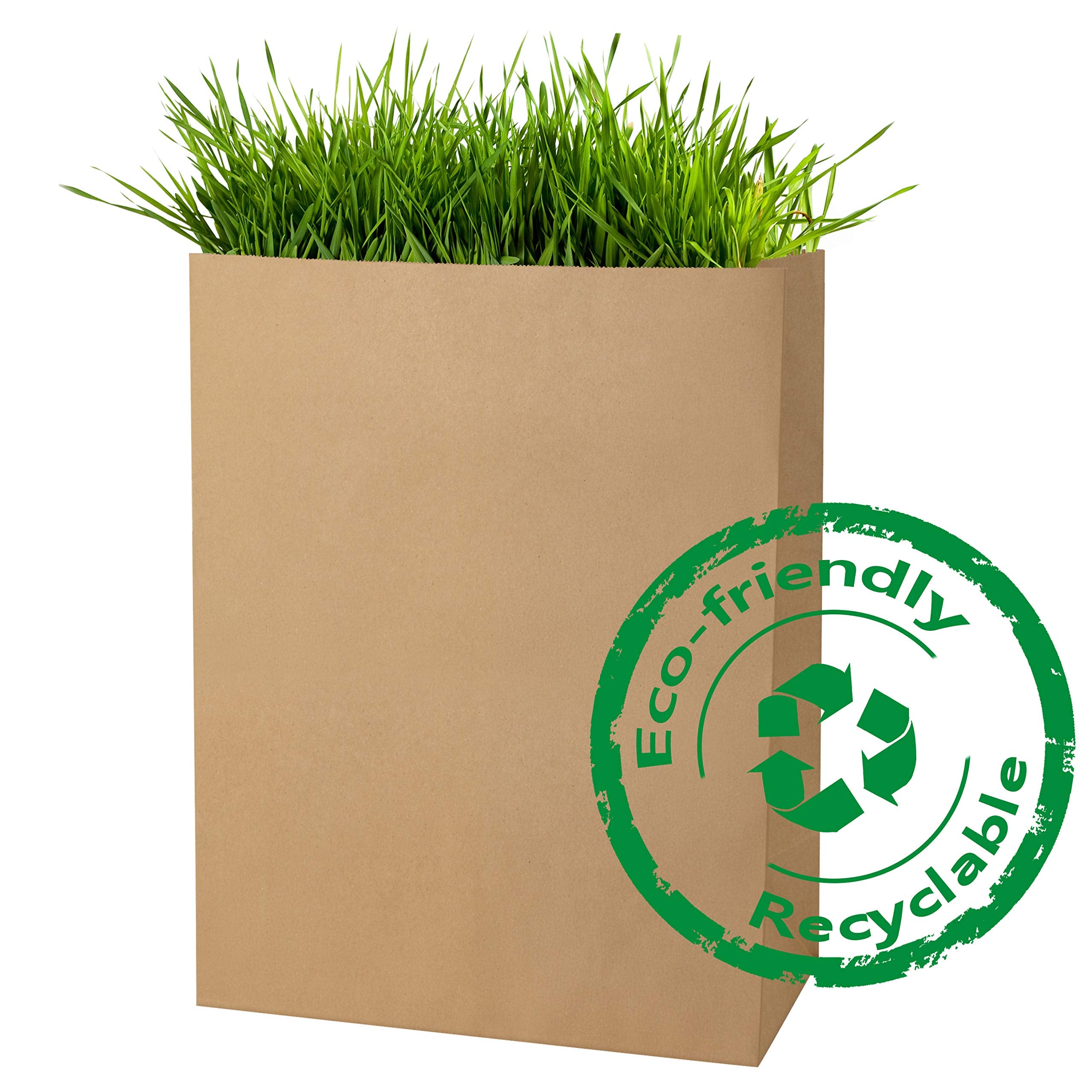 BagDream supermarket size 12x7x17 inch bags for groceries