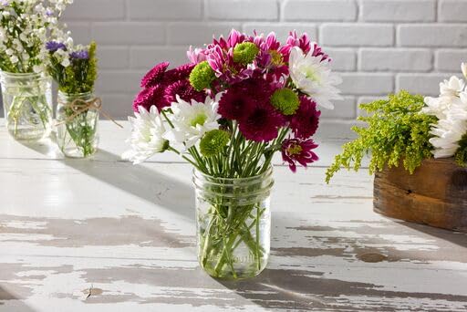 Ball 16oz wide mouth mason jar suitable for canning and crafting