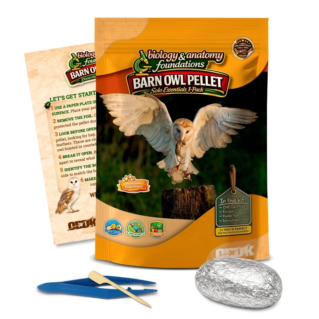 Barn Owl Pellets for Dissection product image