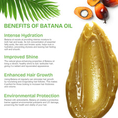 Elaeis Oleifera Kernel Oil Honduras source