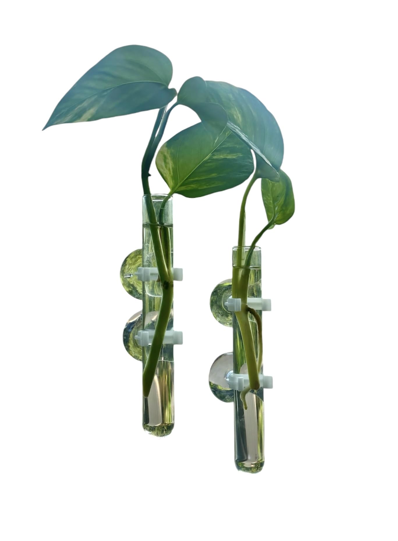 bathroom decor glass test tube vases