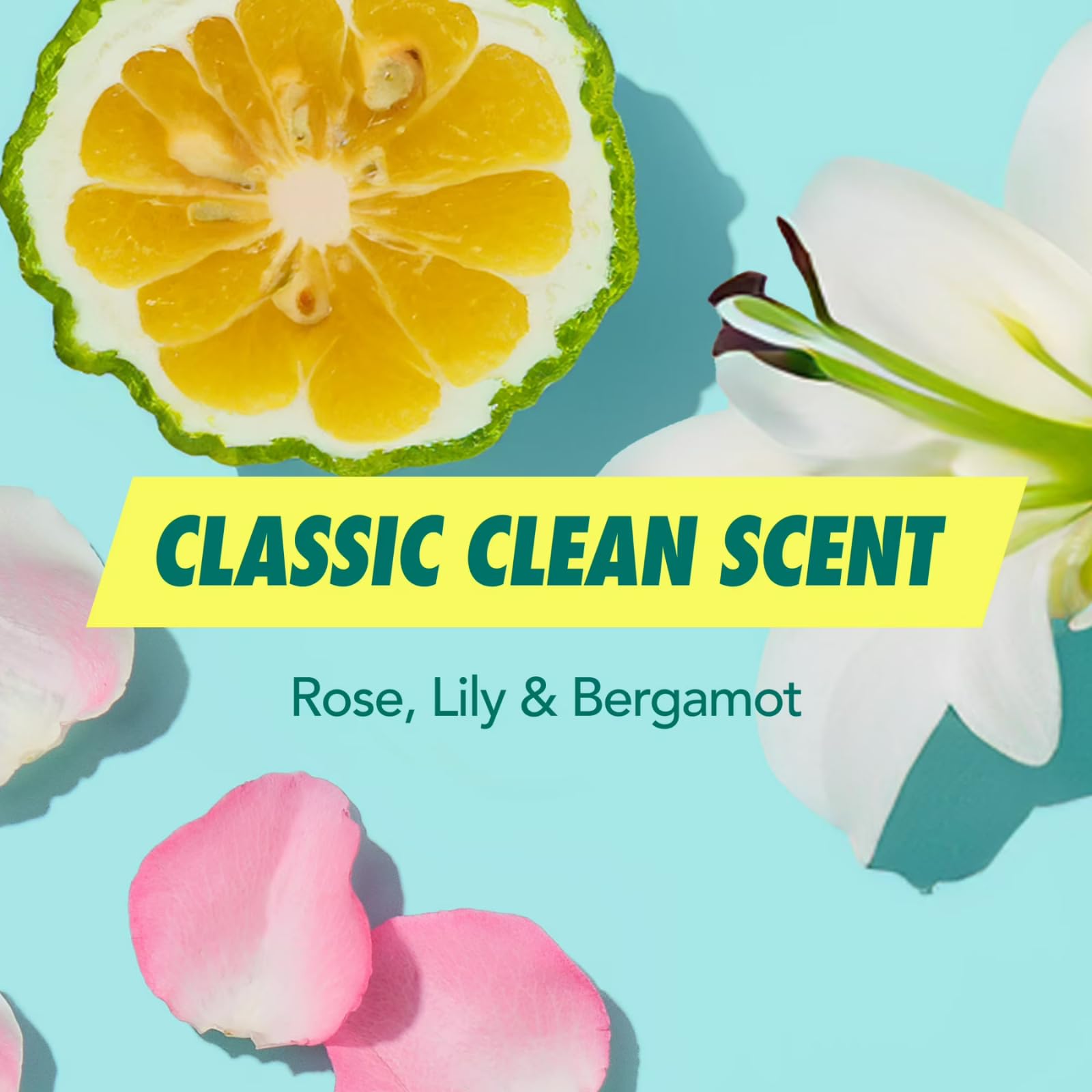 Citrus bergamot rose lily lavender musk notes on Batiste fragrance
