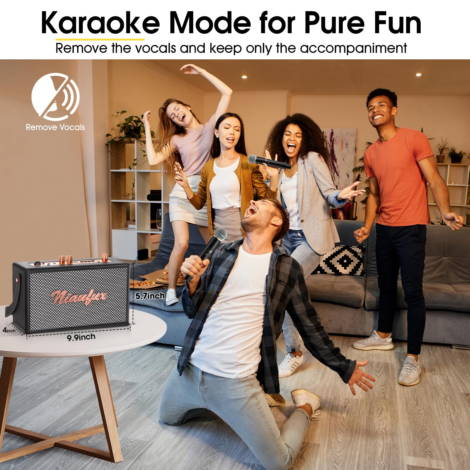 Karaoke system battery with 6-8 hours playback capability