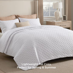 Bedsure quilt close up embossed texture