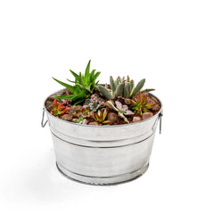 Two-tub pack Behrens 5 gallon steel tub