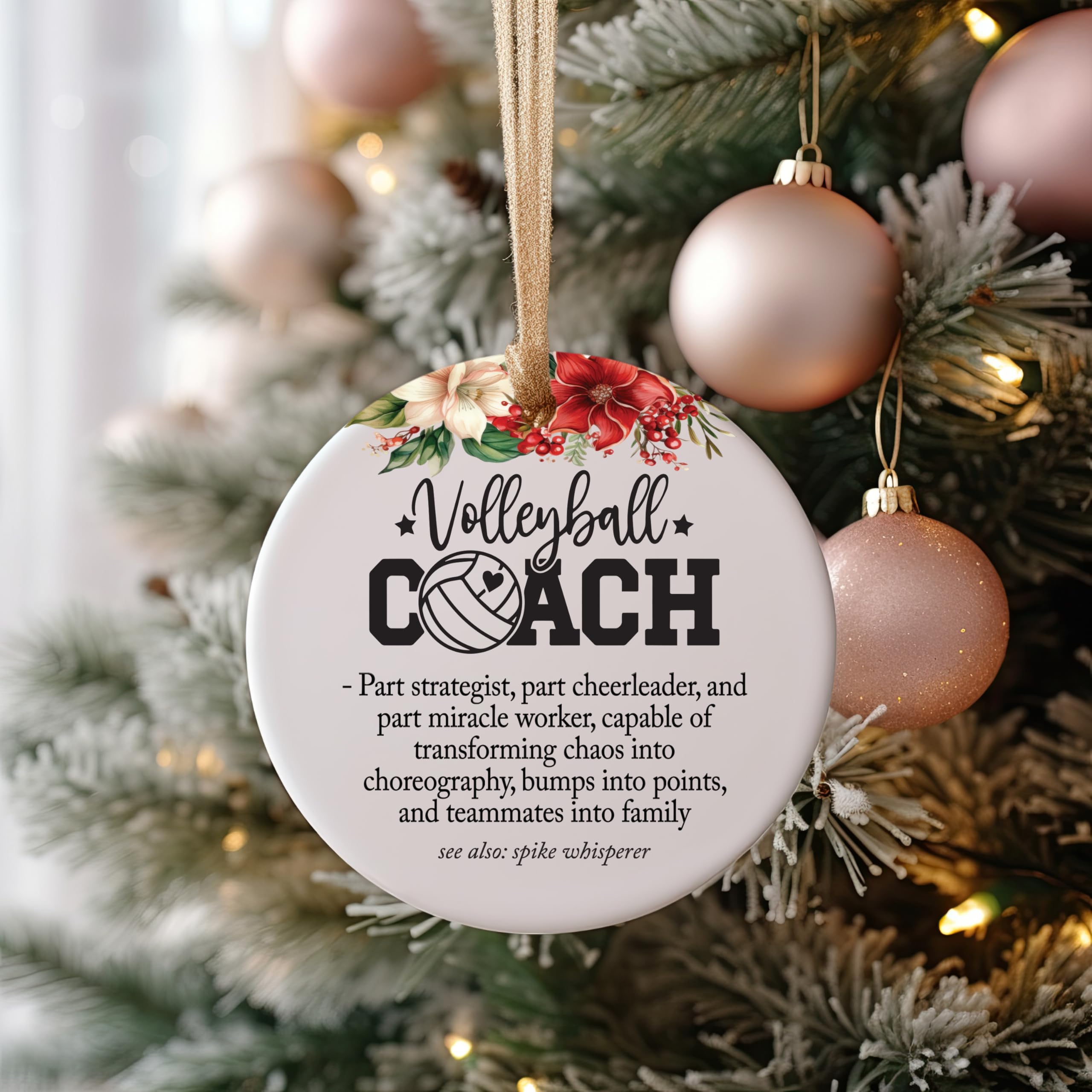 Best coaches ever volleyball ornament display worthy