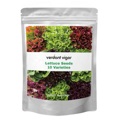 Lettuce seeds Bibb variety from 20,000+ Lettuce Seeds collection
