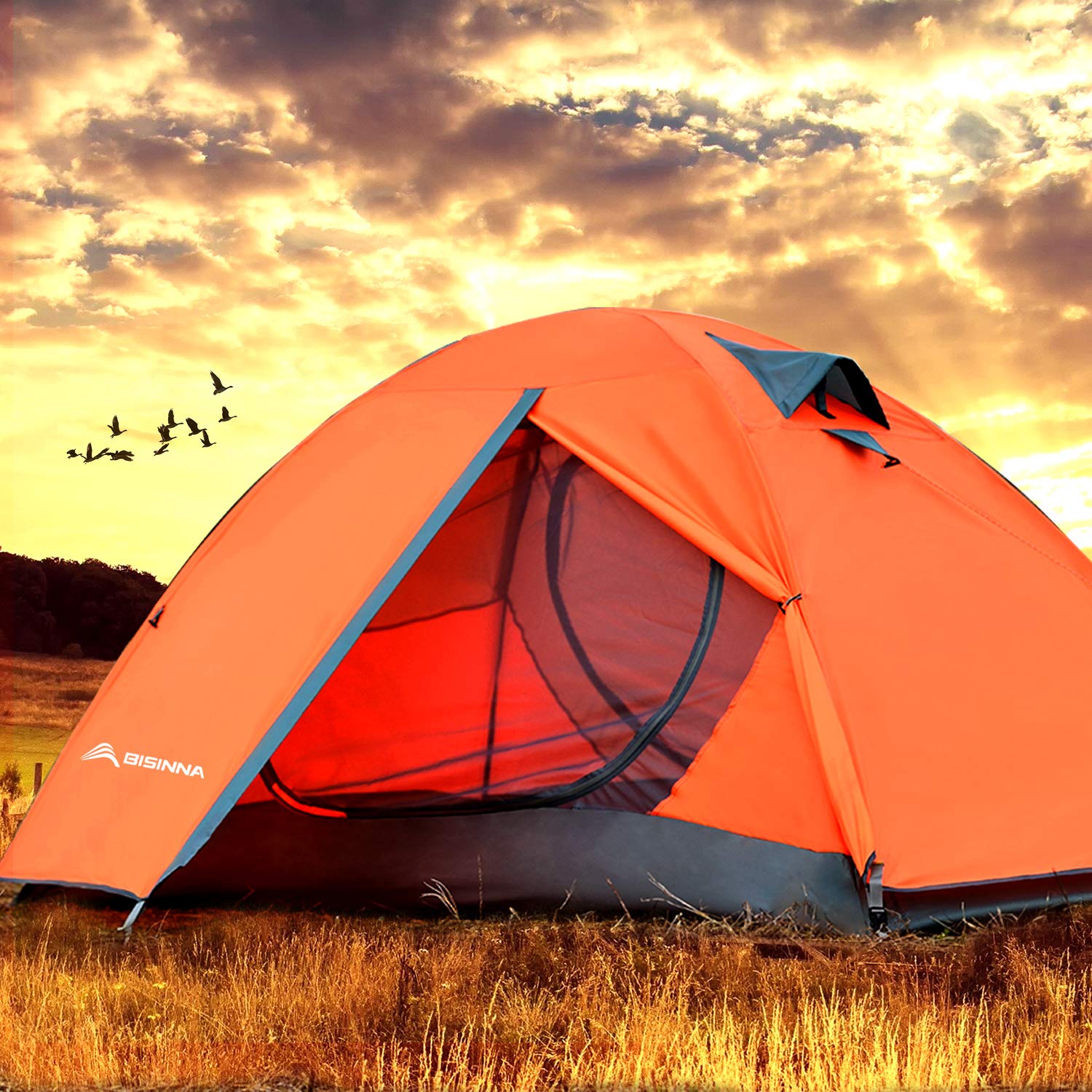 Carry bag and tent components BISINNA tent image