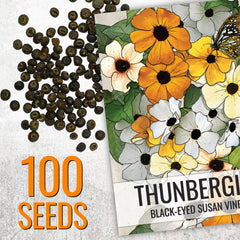 Black-Eyed Susan Vine Seeds packet illustration and sowing information