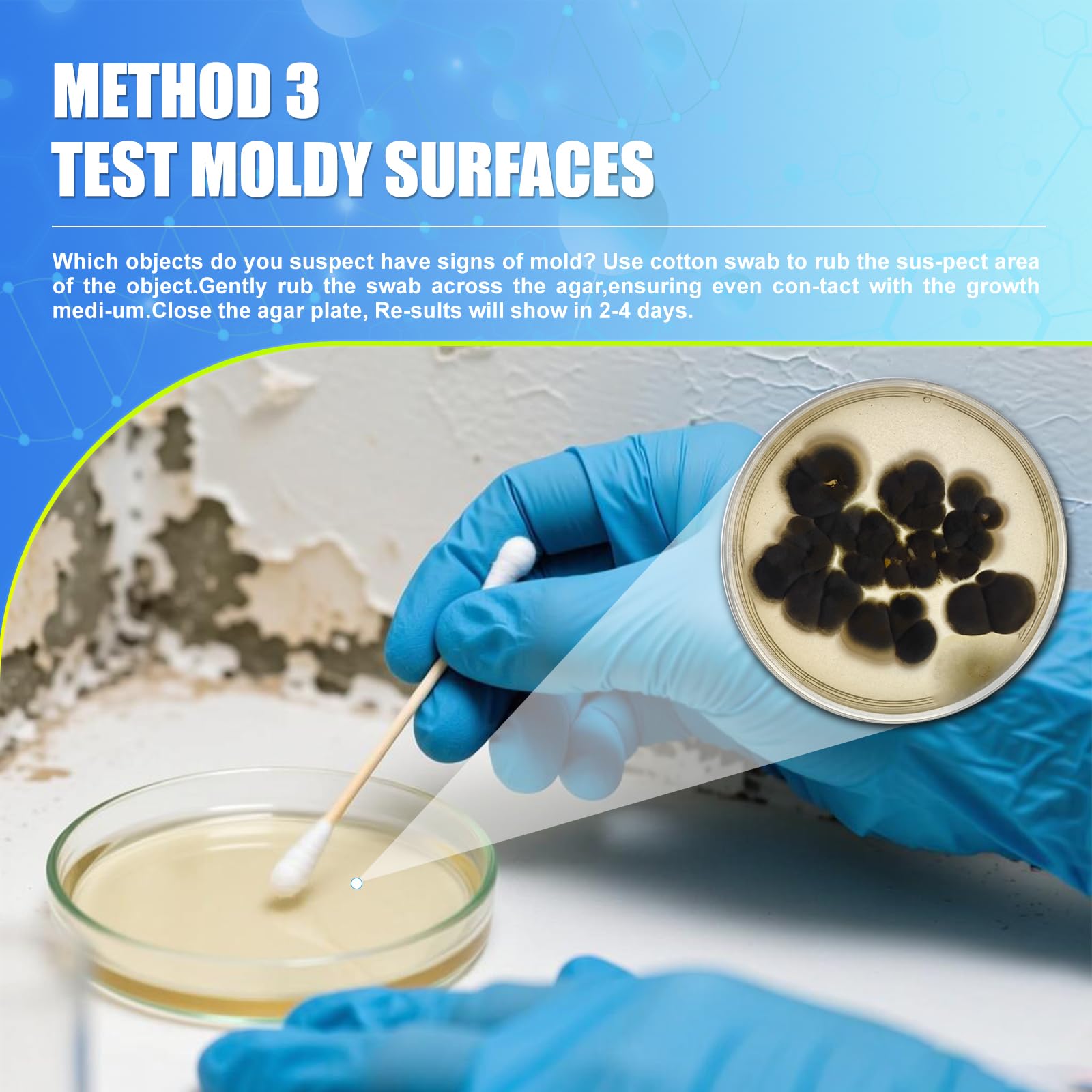 Black mold testing kit identification guide