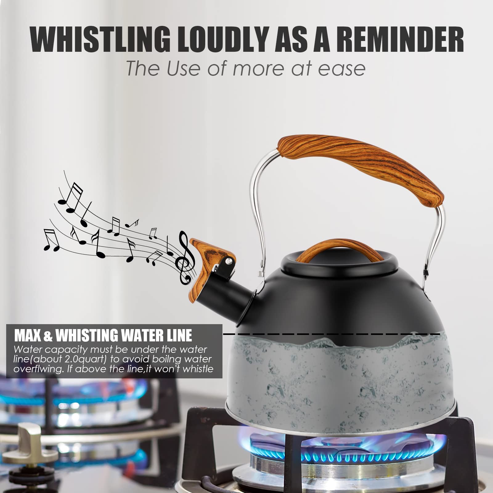 Food grade stainless steel kettle boiling water