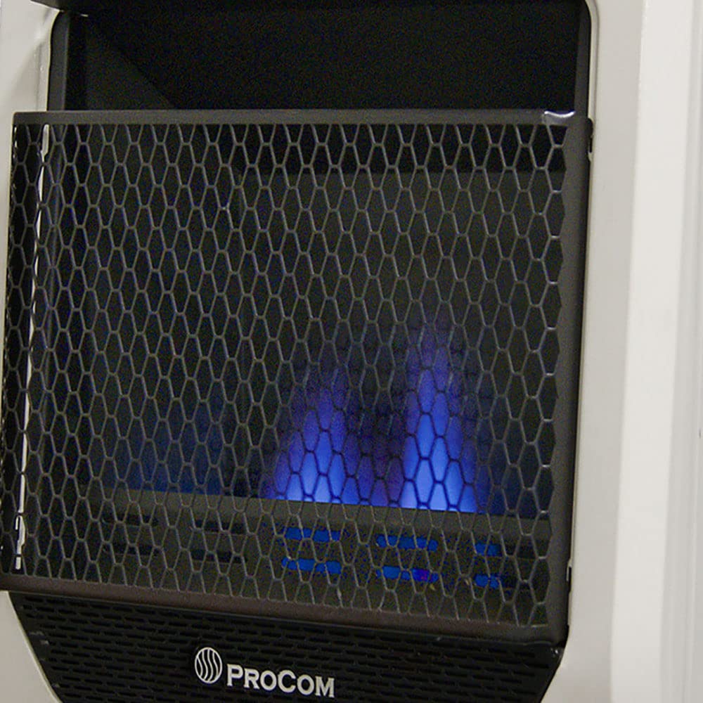 Blue flame ventless wall heater front view