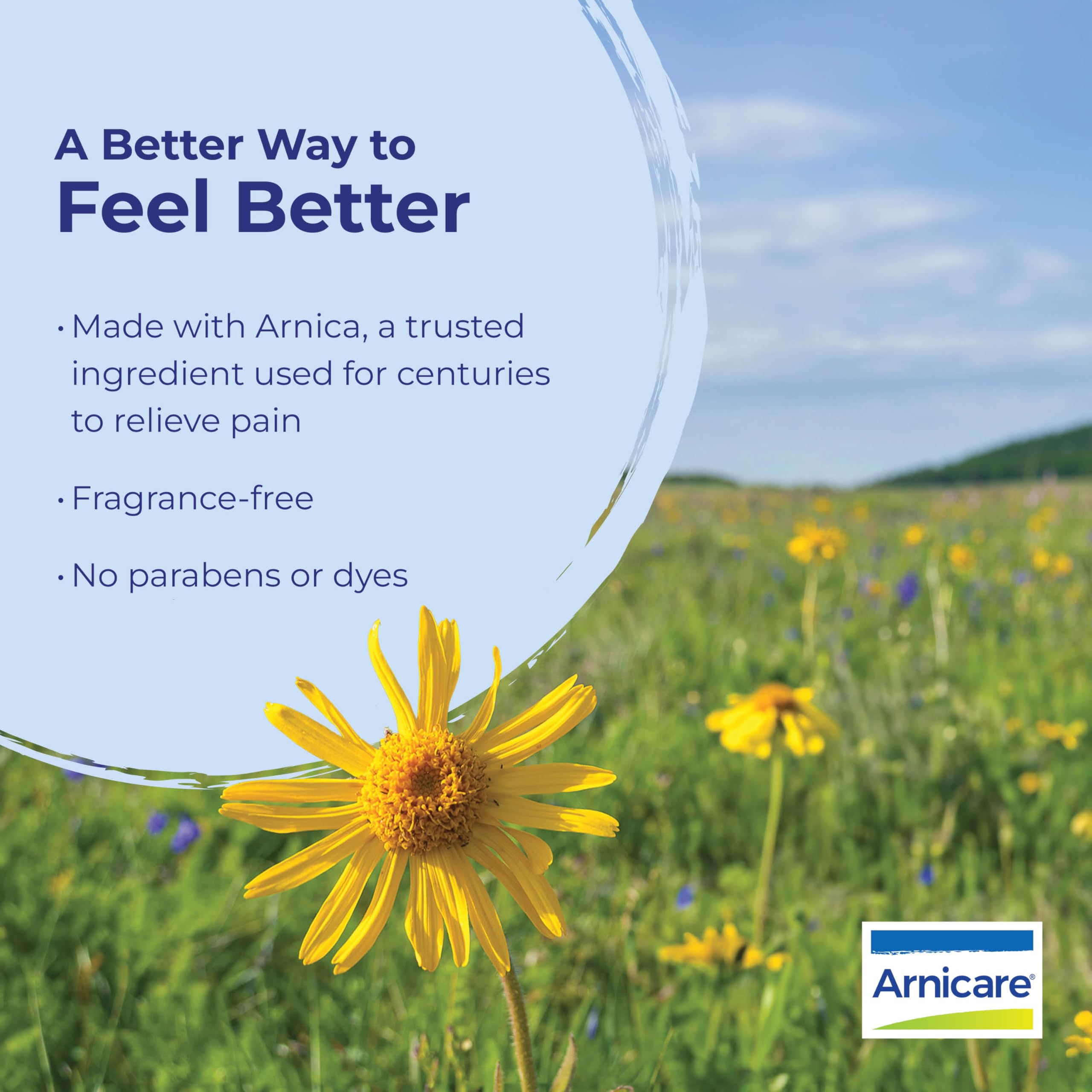 Non-greasy fast-absorbing pain relief gel