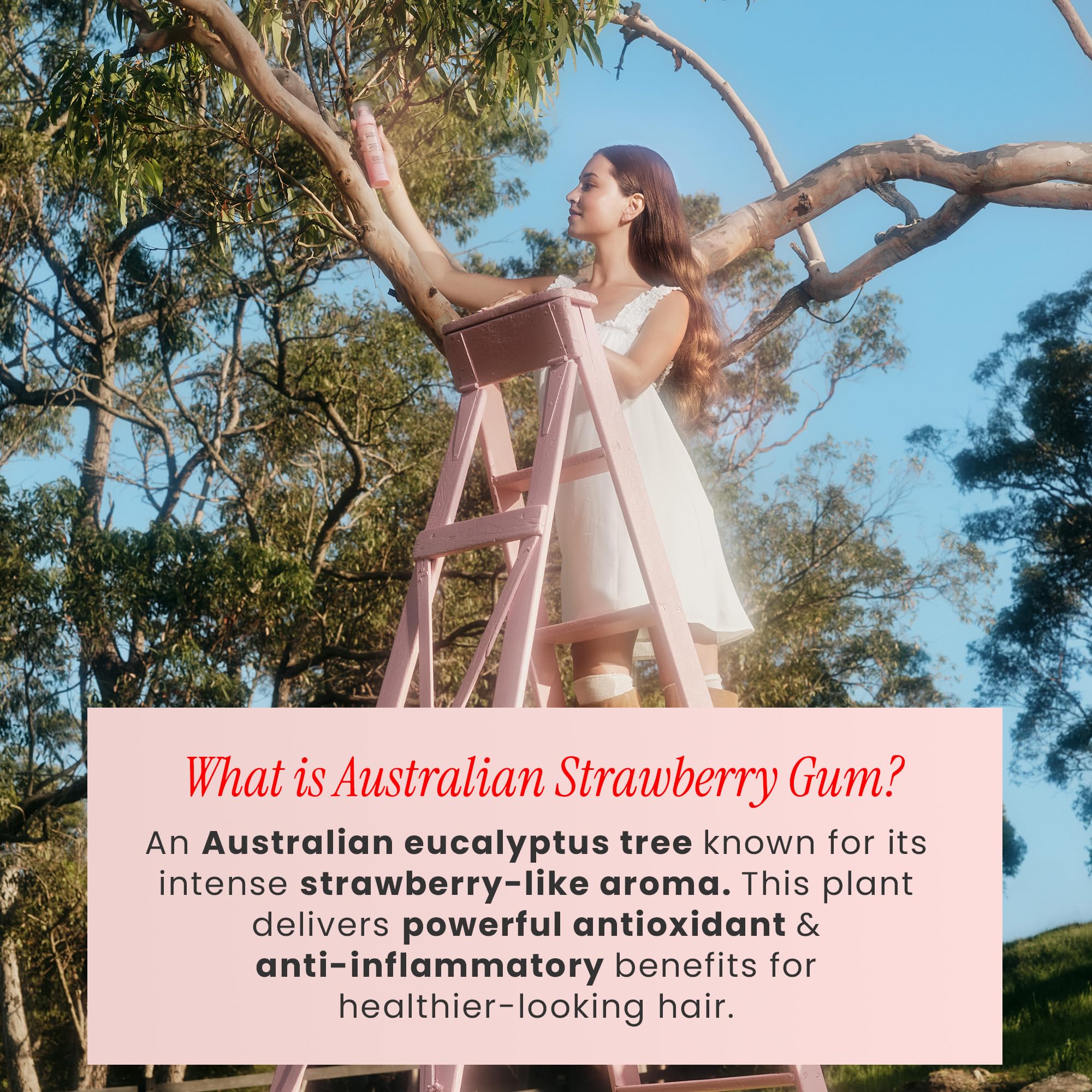 Australian strawberry gum extract in hair mist