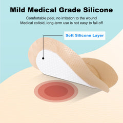 Border sacrum dressing used for pressure ulcers display