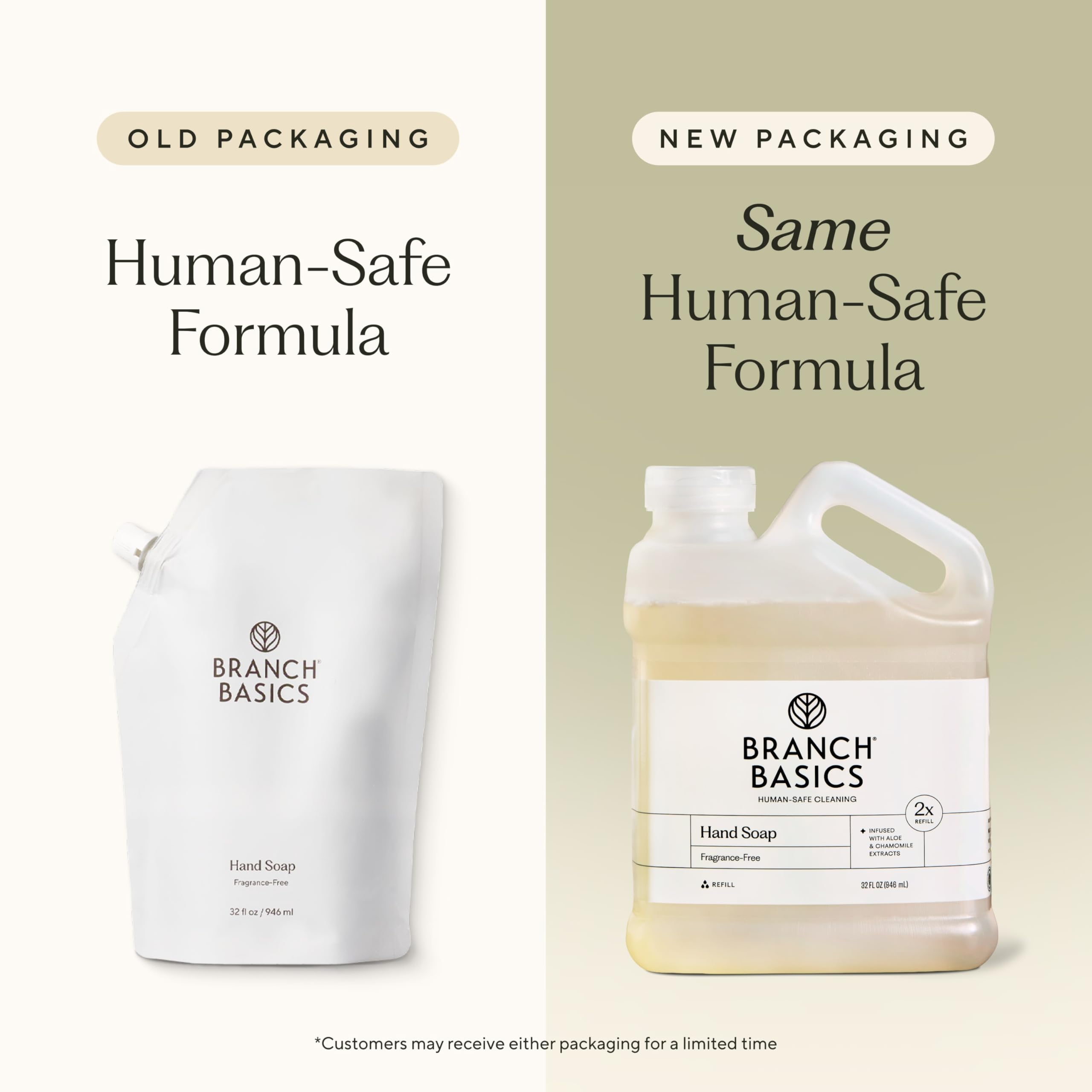 Refillable BPA-free glass bottle for Branch Basics hand soap