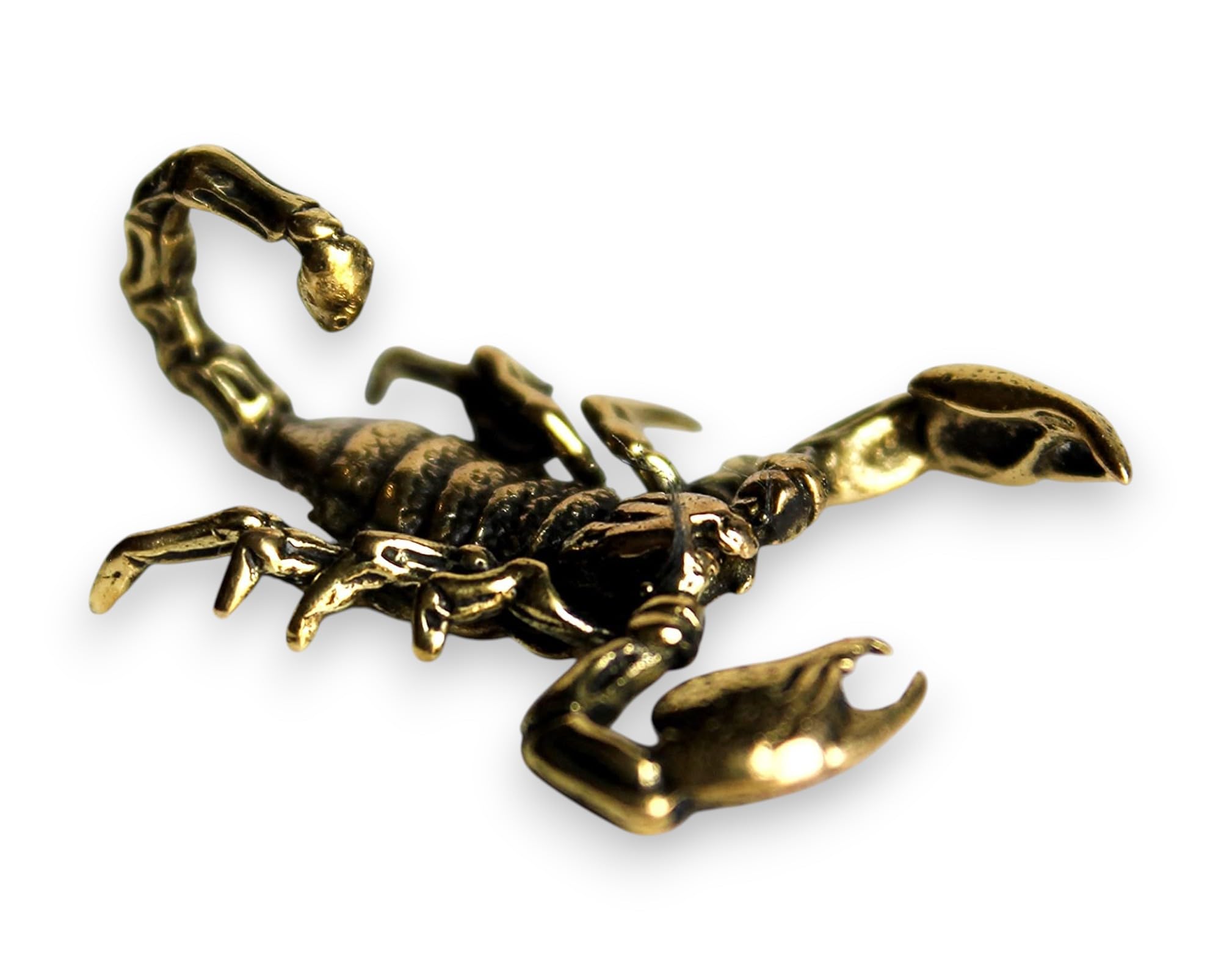 Brass scorpion figurine on display