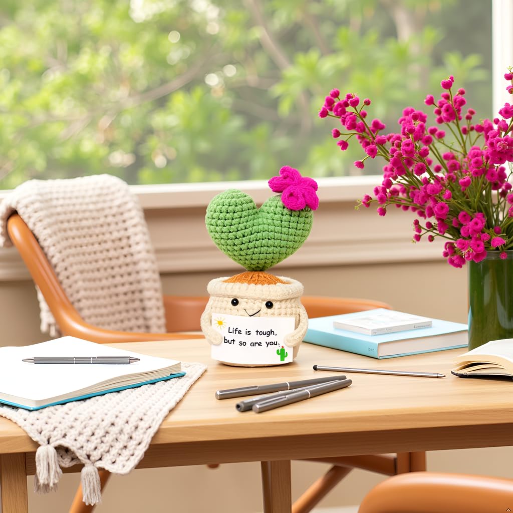 Get Well Gifts for Women desk decor cactus gift