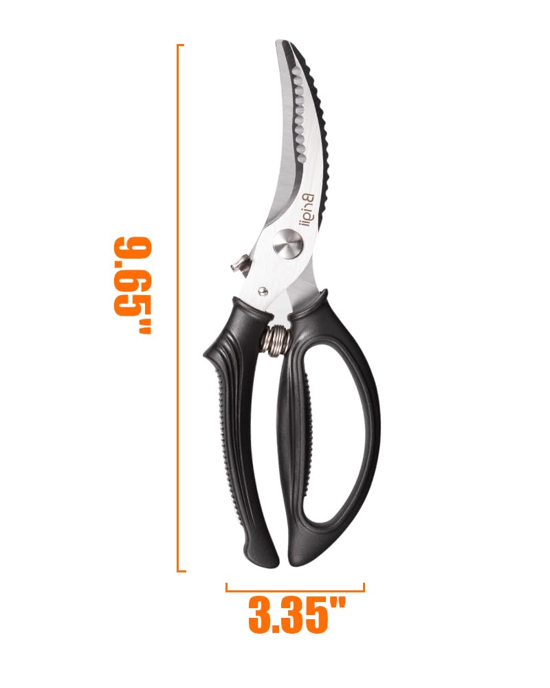 Spring loaded external steel spring Brigii shears KS05Black