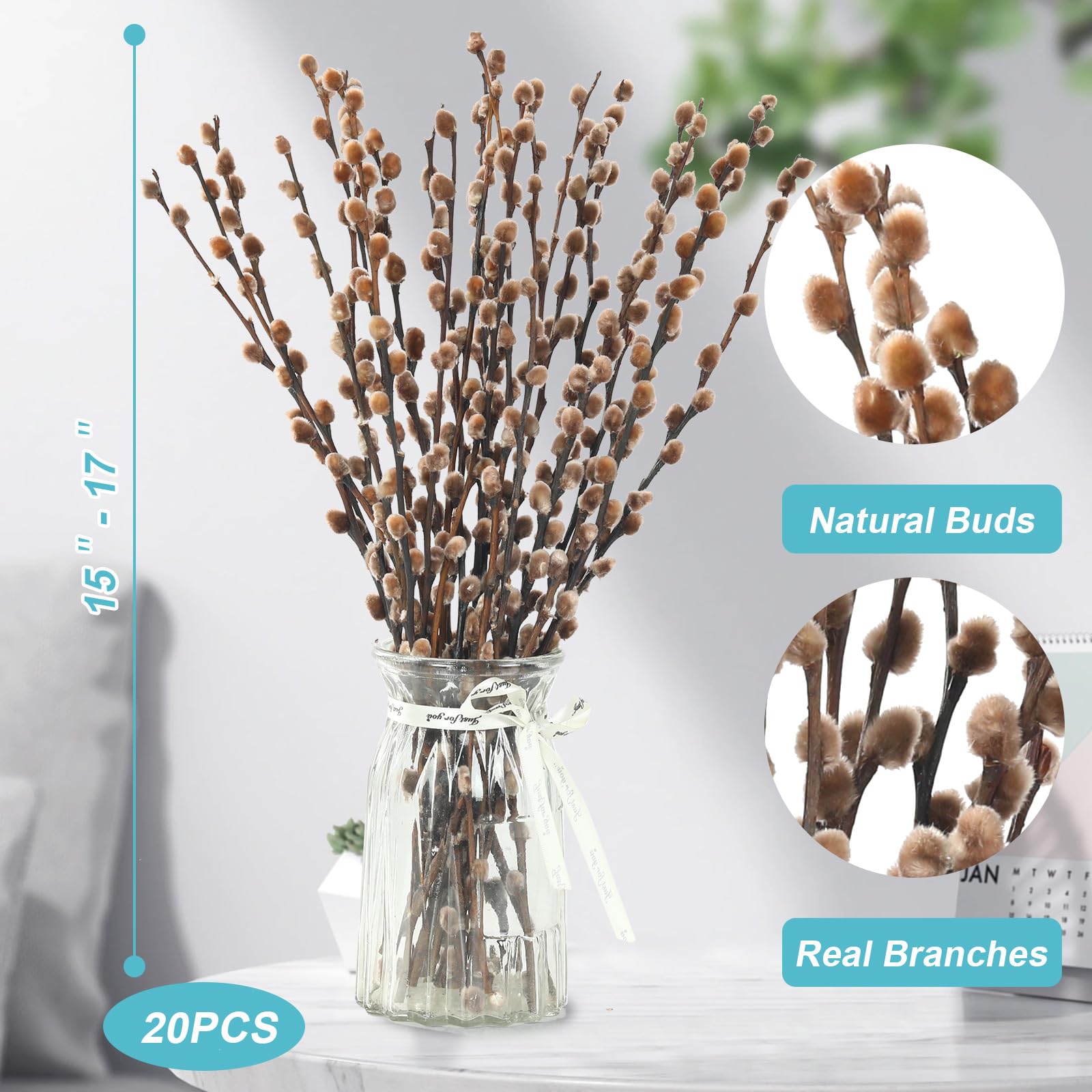 PussyWillow stems suitable for wedding decor and mantles