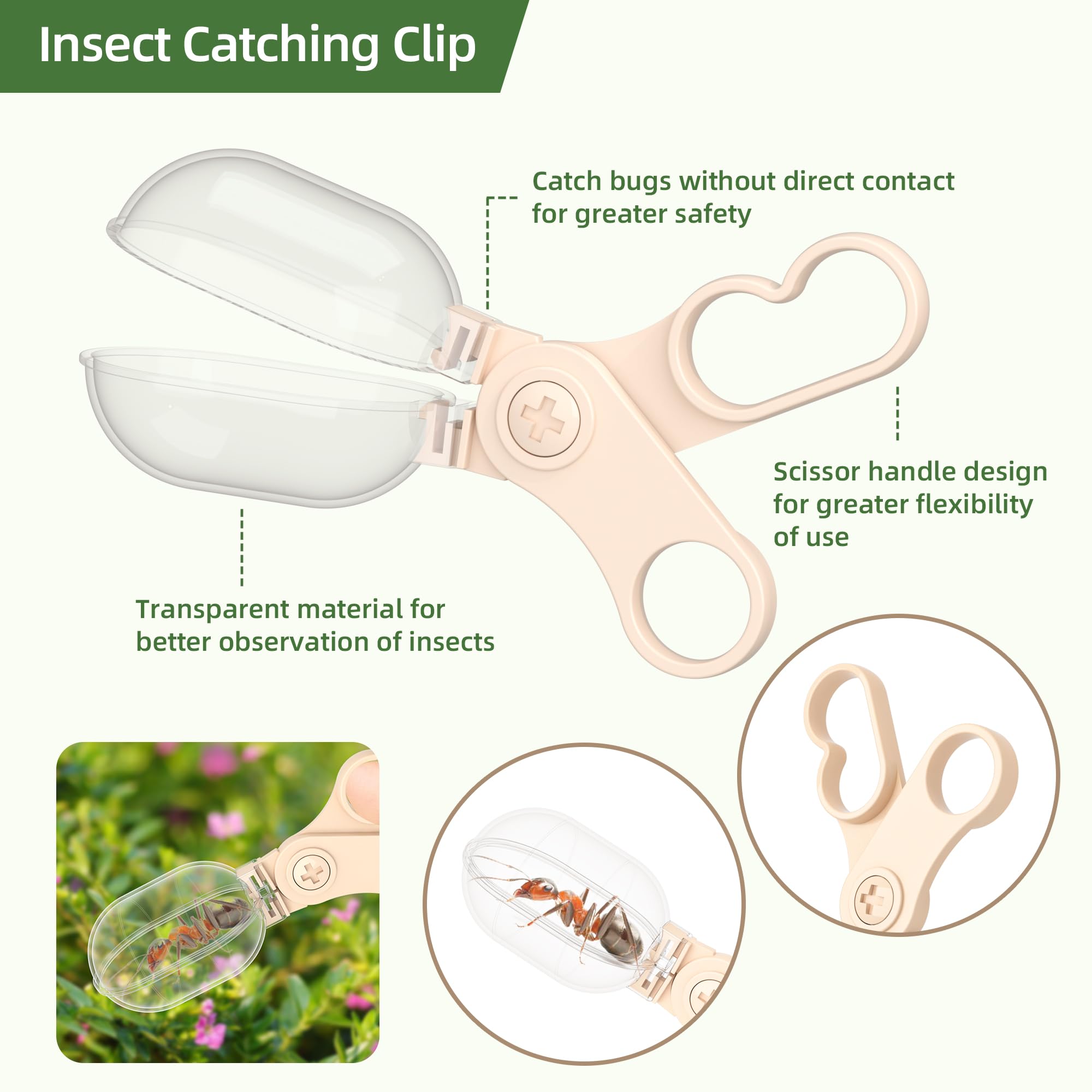 Magnifying glass and insect habitat for close observation