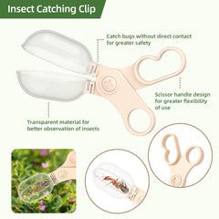 Magnifying glass and insect habitat for close observation