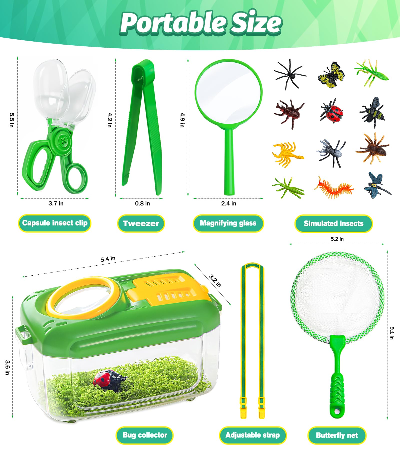 12 bug toys included in the 17 PCS kit