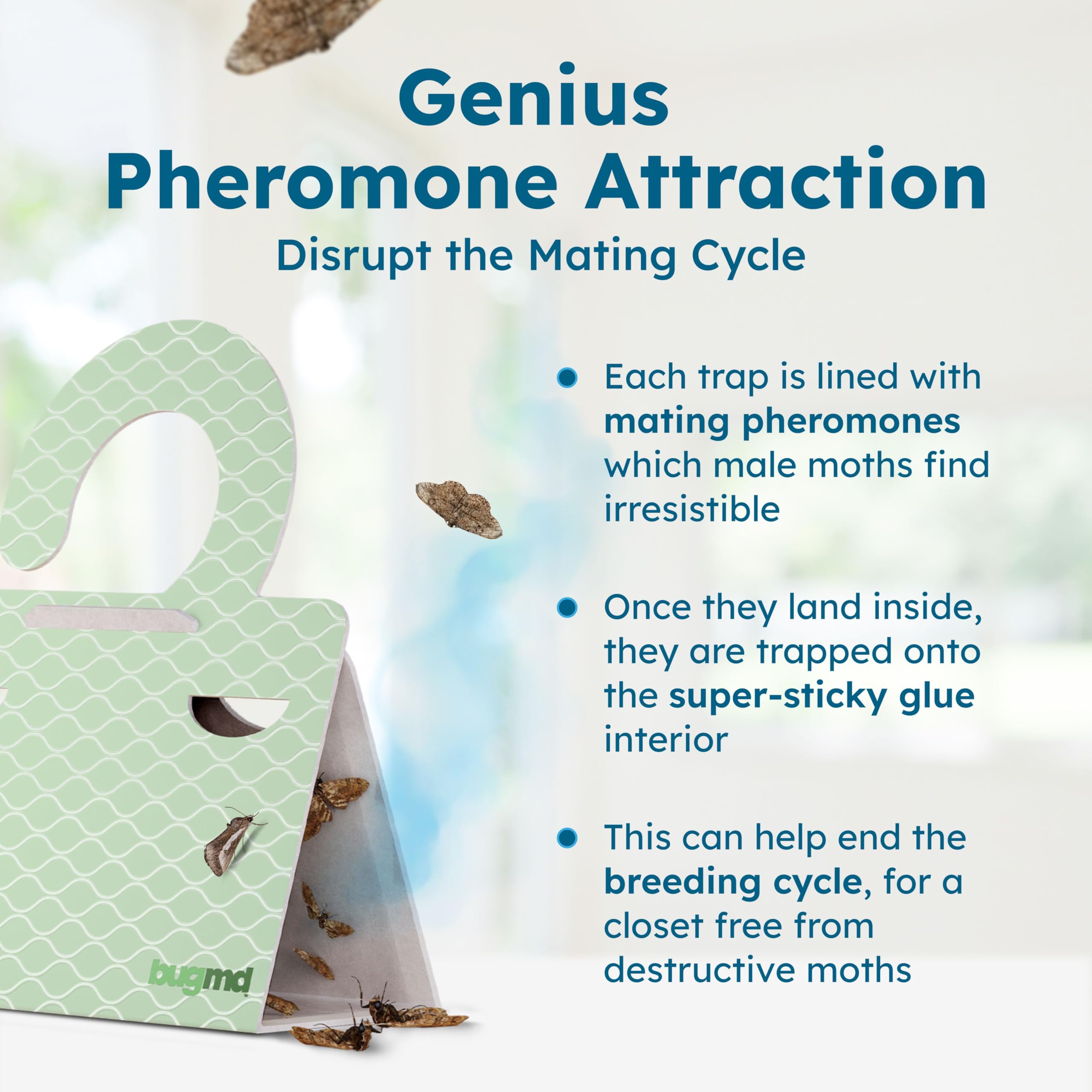 Pheromone infused moth traps for home use
