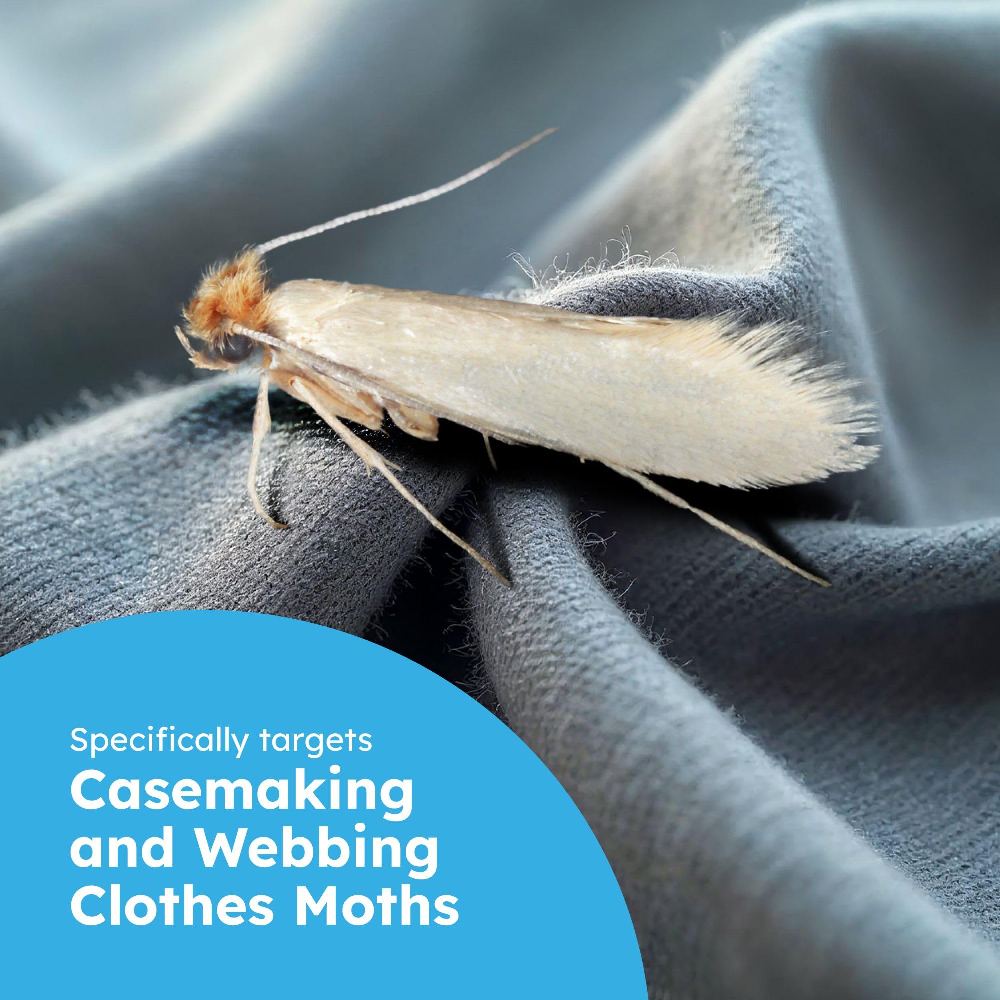 BugMD pantry moth traps for kitchen cabinets and pantries