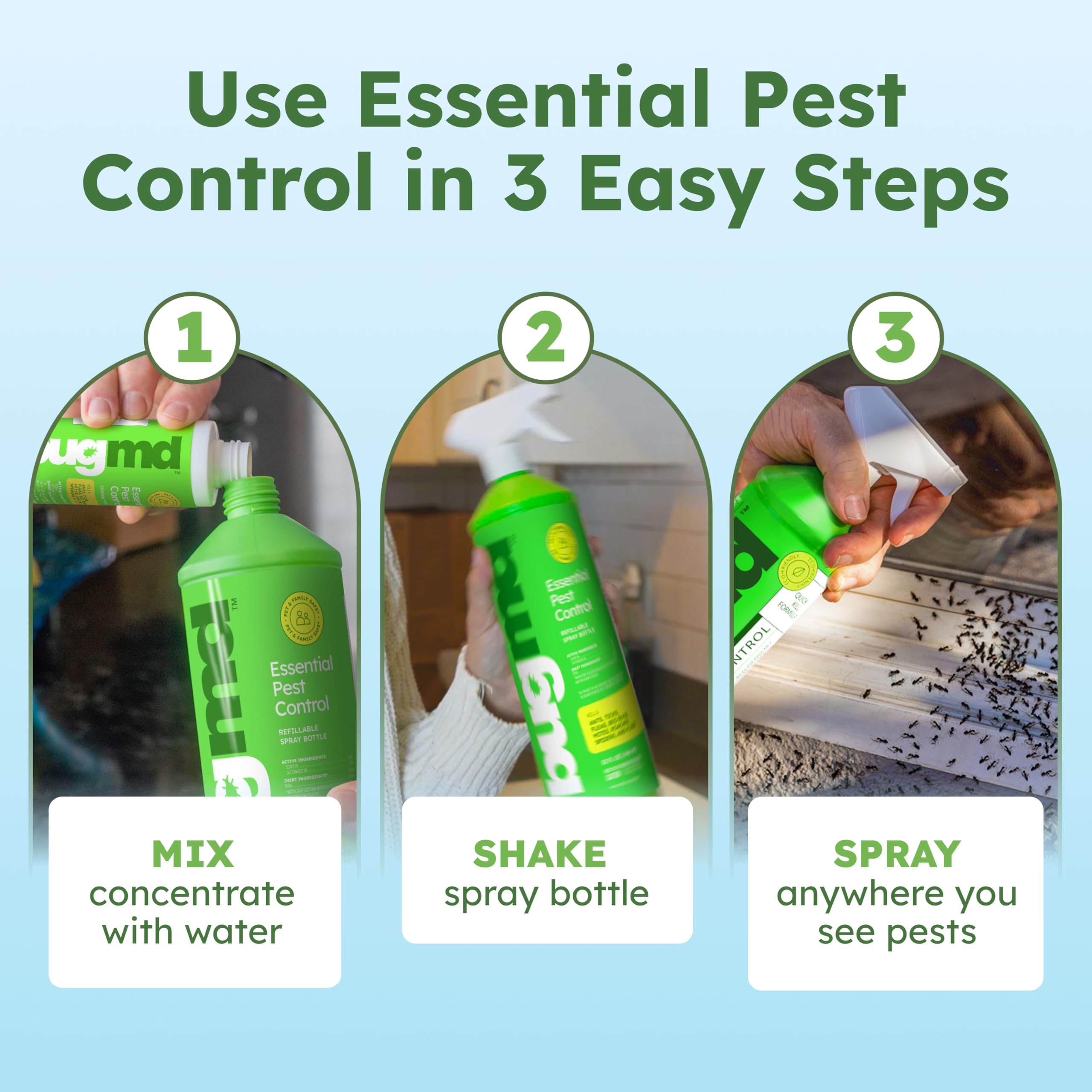 Cockroach and general pests treated with plant oil spray