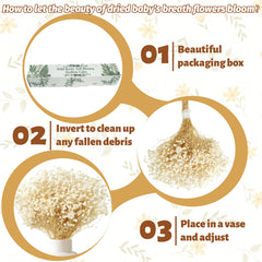 Natural air-dried baby's breath requires no water or sun