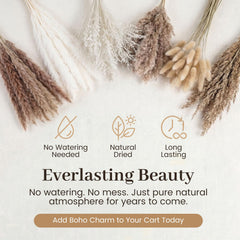100 bunny tails dried flowers included in JOHOUSE kit