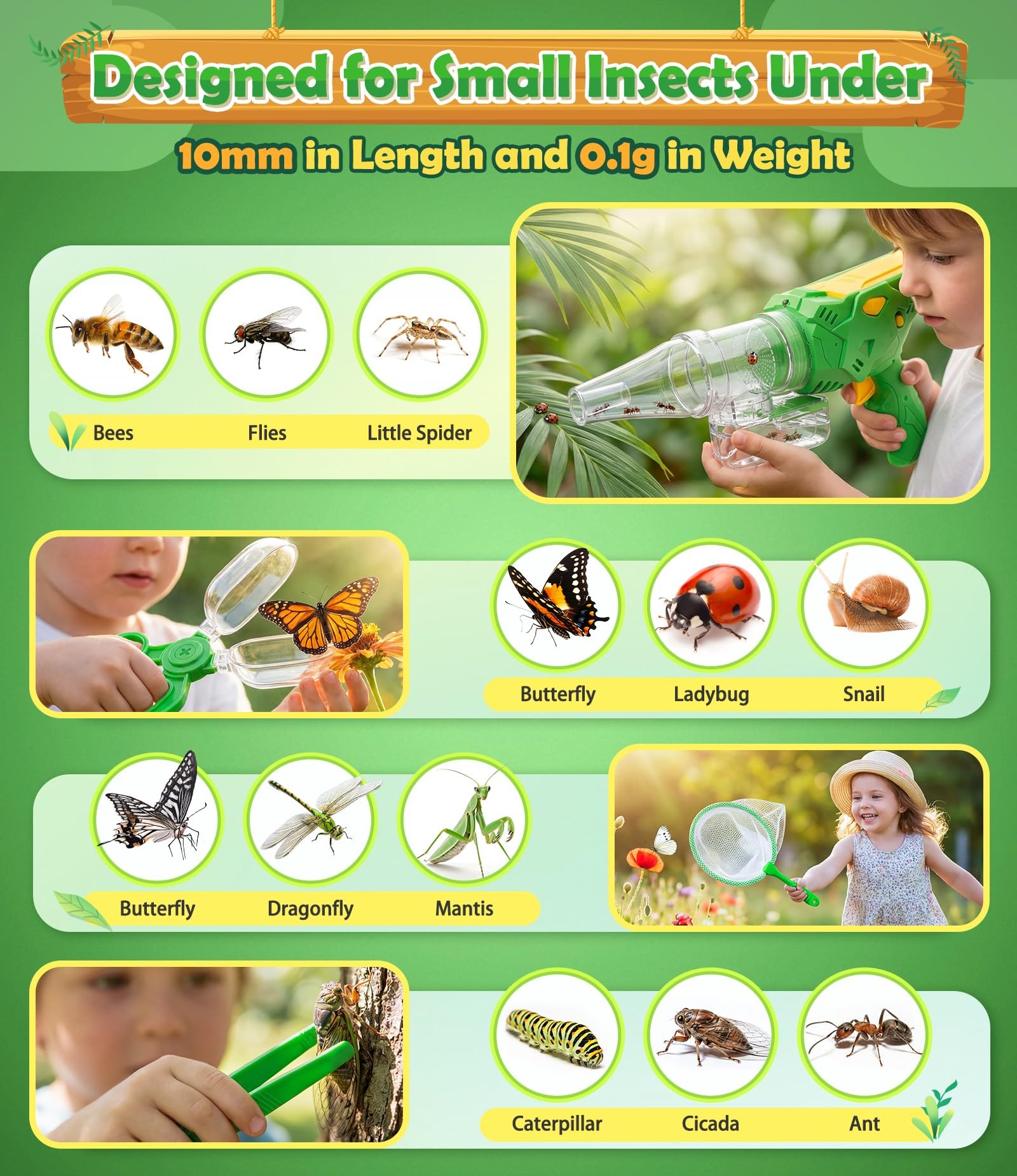 Butterfly net and capsule insect clip included