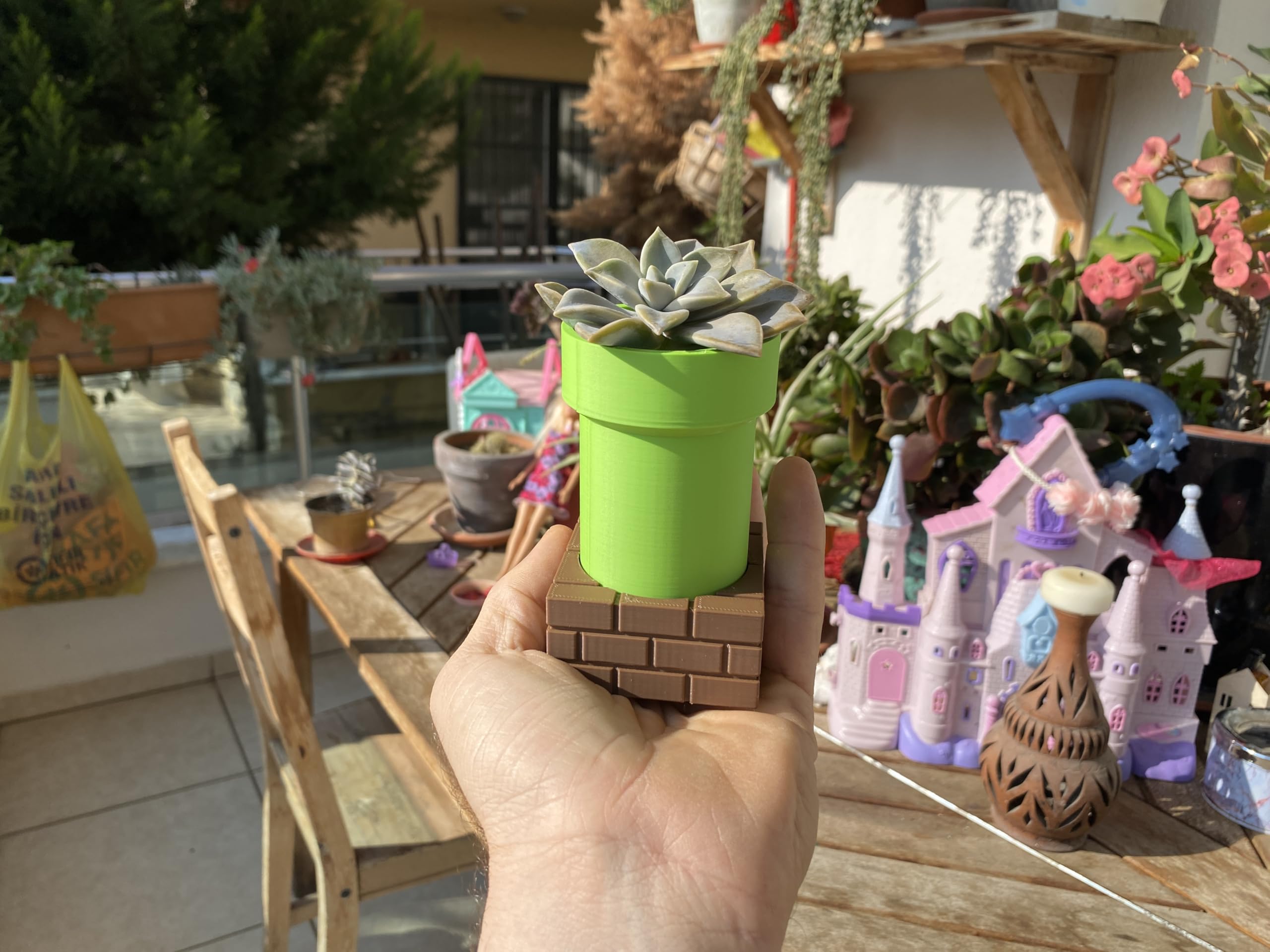 Cactus and succulents displayed in pixel art planter