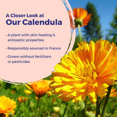 Calendula Cream for skin irritation by Boiron branding