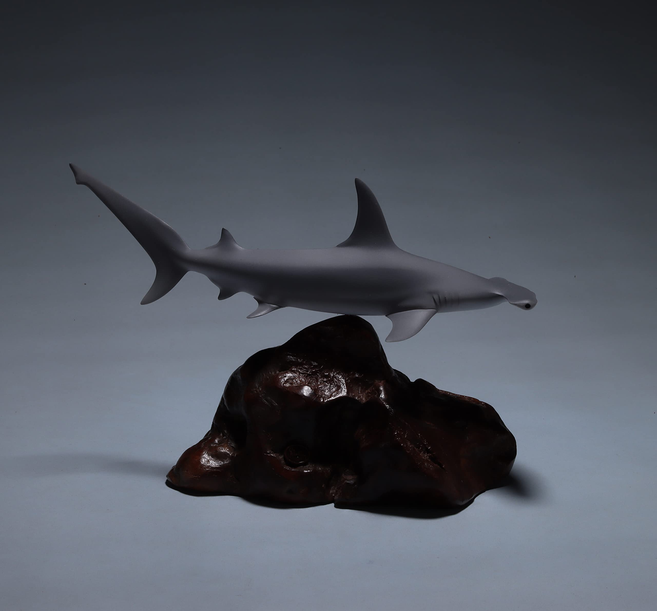 Hammerhead shark 9 inch size on polished burl base