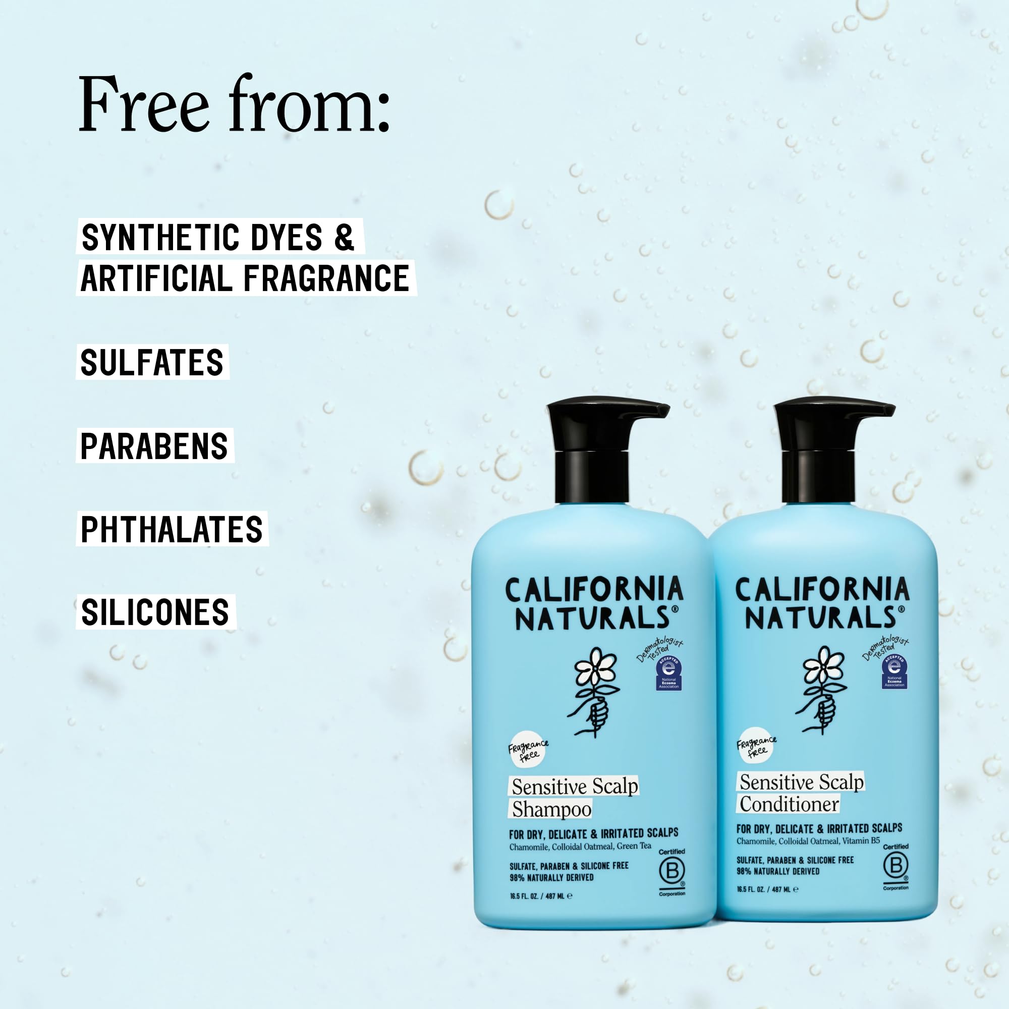 fragrance free set packaging 16.5 oz