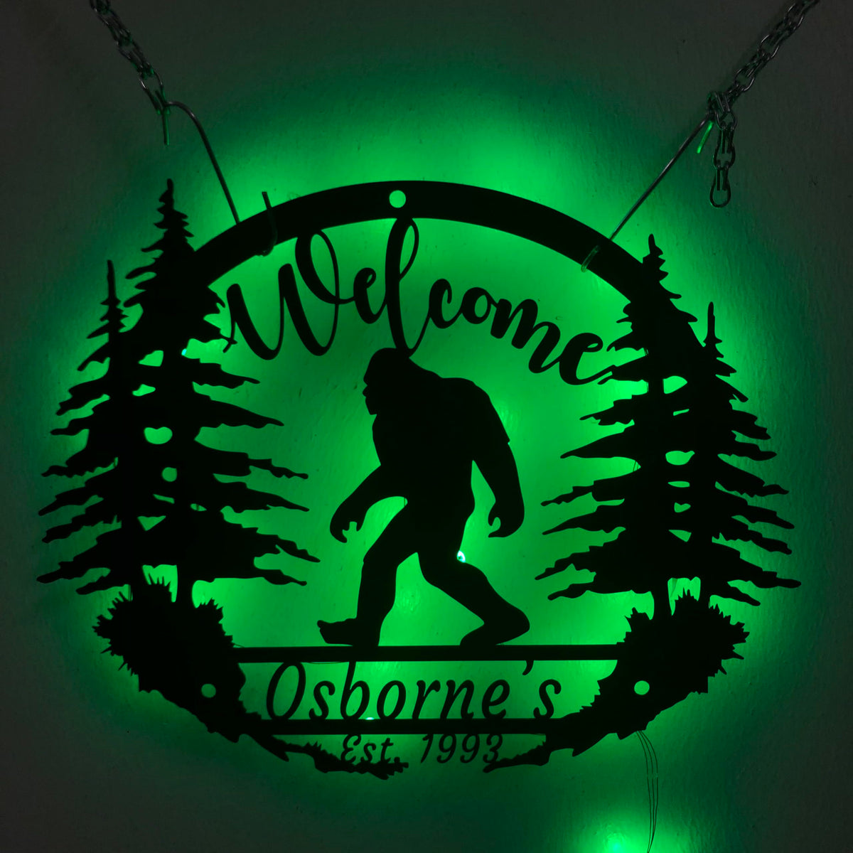 CALILI custom name LED sign 8 inch size metal wall art