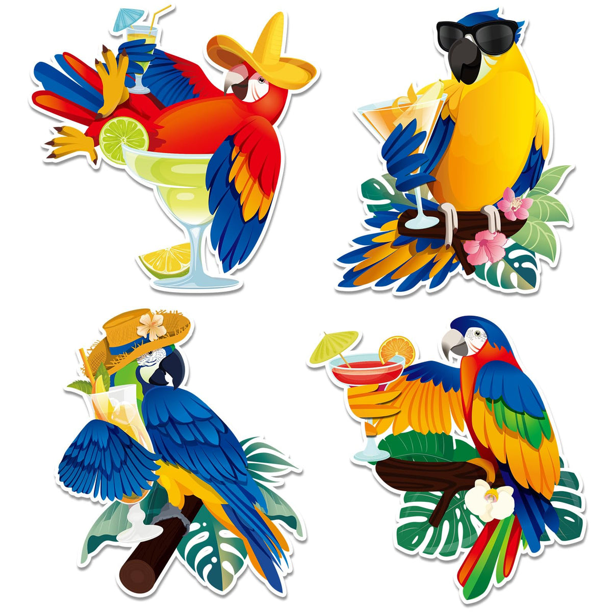 Capoda Parrot Cruise Door Magnets set of 4 on fridge